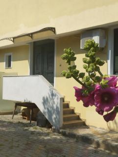 Villa Panthéon - Paleo Tsifliki - 7