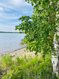 Blueberry Villa at Saimaa Lakeside - Taipalsaari - 6