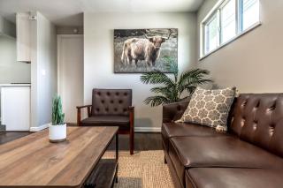 Modern 2 Bed near Rice University - Houston - 9