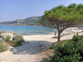 La Pointe de Sel - Plage a 2 minutes a pied - Lumio - 4