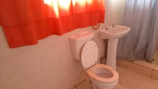 The Golden Palace Guesthouse - Balfour - 3
