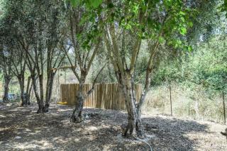 Aliyah - Country Garden Apartment - Matta‘ - 1