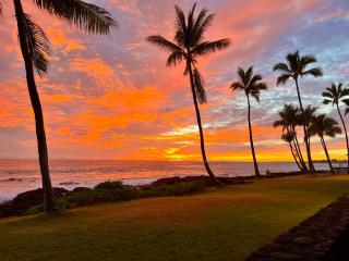 Enjoy Water's Edge Hale - Kailua-Kona - 4