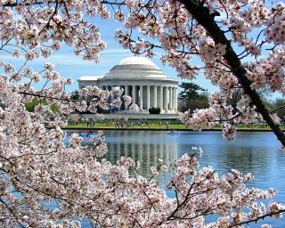 Modern 5BR & 5BA Rooftop Deck & Private Parking - Washington - 0