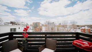 Stylish 5BR DC Retreat with Rooftop & Backyard - 7