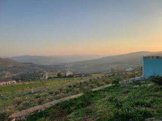 Eyas Farm - Jerash - 5