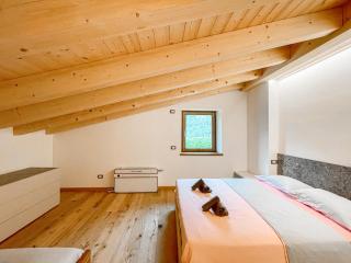 Luxury Chalet Dolomiti-Campiglio-Trentino - Porte di Rendena - 3
