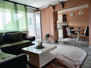 Mountain view apartment - Pirot - 9