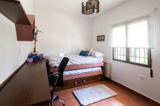 Finca Navalpino - Guadamur - 1