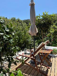 The Garden House, Sitia - Sitia - 2