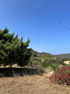 Vita di Campagna - Palau - Palau - 6
