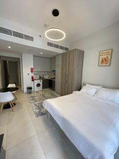 Modern Luxury Apartment - 8