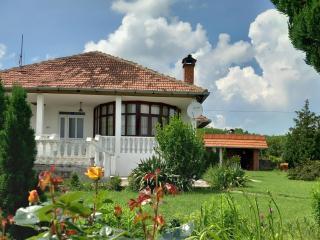 Apartmani Ćosić - Kuršumlija - 0