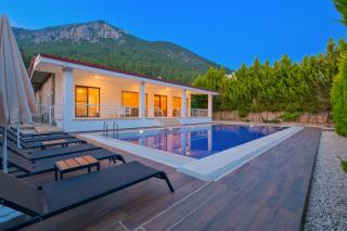 Villa Albina - Uzumlu - 9