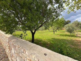 Tenuta Sillo - ground floor - 7