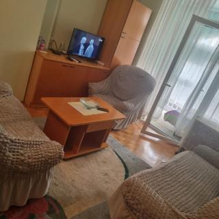 Apartman Mina - Vrnjačka Banja - 0
