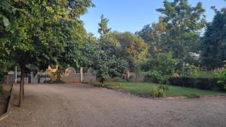 Milele Homestay - Boma la Ngombe - 2
