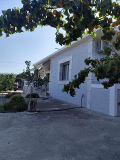 Grey house - Samos (Samo) - 8