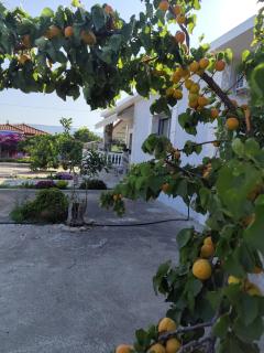 Grey house - Samos - 9