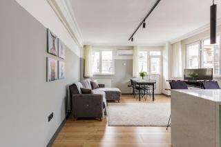 Recently Renovated Designer 2 Bedroom Apartment - Istambul - 0