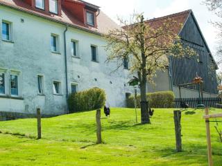 Holiday apartment with 2 bedrooms - Kurort Hartha - 6