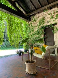 Le bois des fées de Chazelles - 1