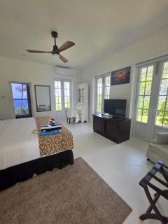 Large Beautiful Villa with Ocean Views and private pool - 3 Bedroom Listing - Cap Estate - 4