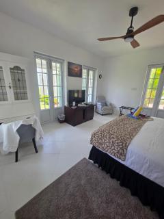 Large Beautiful Villa with Ocean Views and private pool - 3 Bedroom Listing - Cap Estate - 3