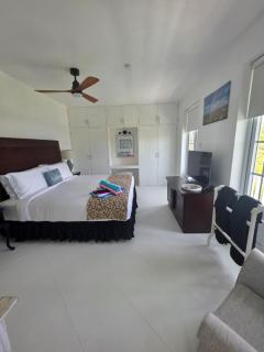 Large Beautiful Villa with Ocean Views and private pool - 3 Bedroom Listing - Cap Estate - 1