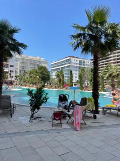 View of flamingos - 8