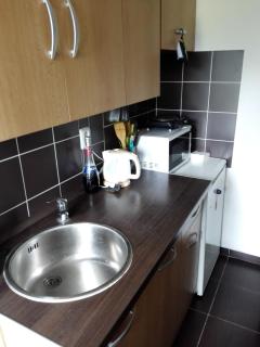 Cottage in the Czech Central Uplands - 5