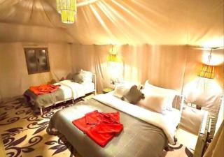 Sahara Rose Camp - 0
