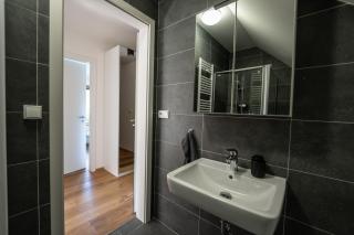 Apartman Beranek Sumava - Železná Ruda - 4