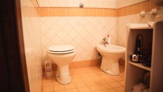 20 minuti dalle terme di Saturnia - Free Wi-Fi - Manciano - 7