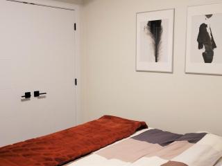 Lovely Modern 2 Bedroom Basement Suite - Edmonton - 2