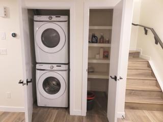 Lovely Modern 2 Bedroom Basement Suite - Edmonton - 1