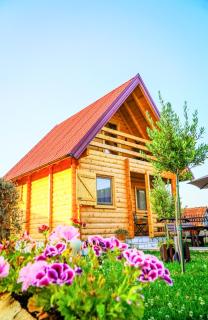 Magical Log House - Virpazar - 8