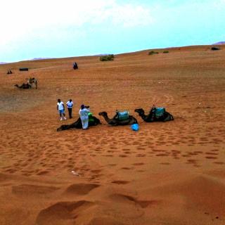 ERG MERZOUGA SAHARA CAMP - Merzouga - 0