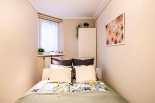 Cozy - New - Modern - 4