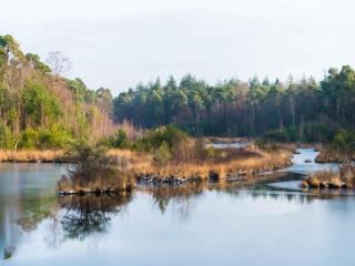 Chalet by Park Pond in the Netherlands - 4
