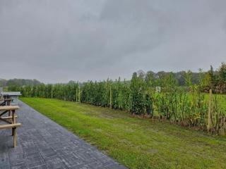 Chalet by Park Pond in the Netherlands - 5