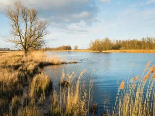 Chalet by Park Pond in the Netherlands - 2