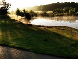 Chalet by Park Pond in the Netherlands - 1