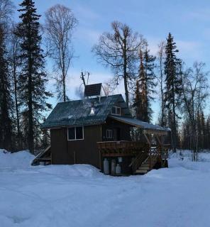 Homestead Cabin East - Talkeetna - 7