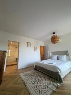 Maison au calme au milieu des restanques - Cuers - 4