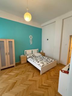 Lovely Historical Apartment - Prag - 0