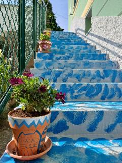 I Pippodi - Celle Ligure - 1