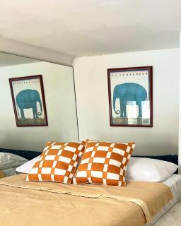 Panter Properties-24 - Cannes - 5