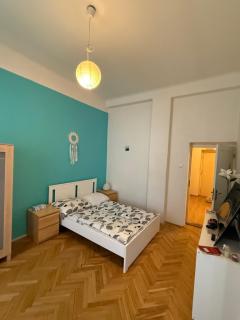 Lovely Historical Apartment - Prag - 4