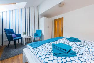 Large Duplex Apartment with a Sunny Terrace - Praag - 8